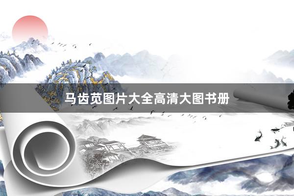 马齿苋图片大全高清大图书册