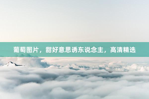 葡萄图片，甜好意思诱东说念主，高清精选