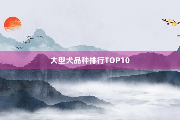 大型犬品种排行TOP10