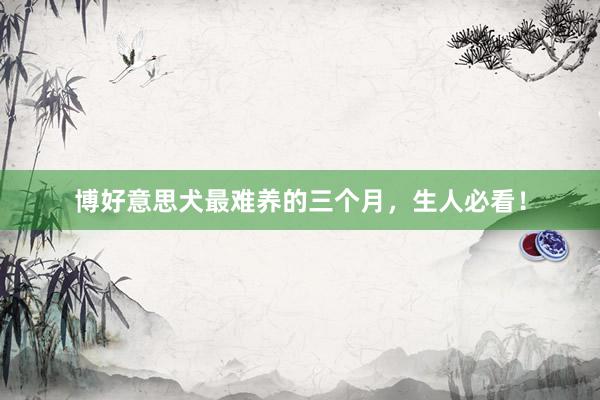 博好意思犬最难养的三个月，生人必看！