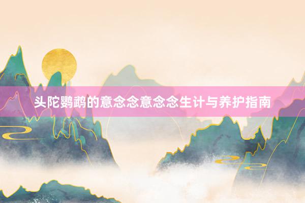 头陀鹦鹉的意念念意念念生计与养护指南