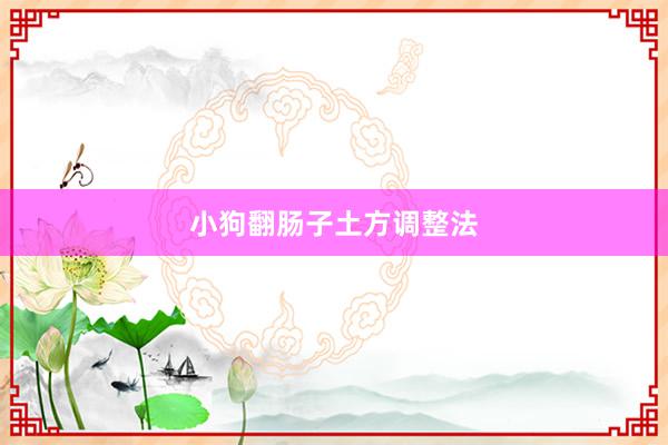 小狗翻肠子土方调整法