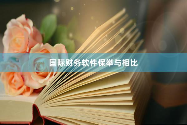 国际财务软件保举与相比